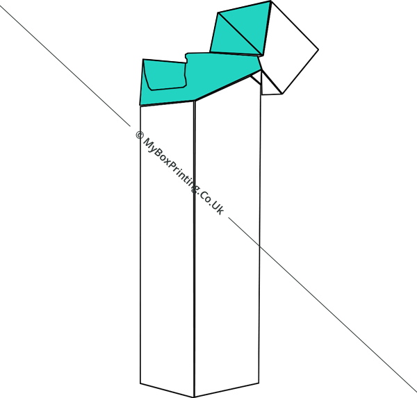 Reinforced Sides With Hinged Top Boxes