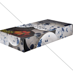 Dish Packaging Boxes