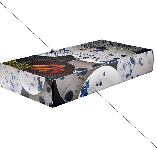 Dish Packaging Boxes