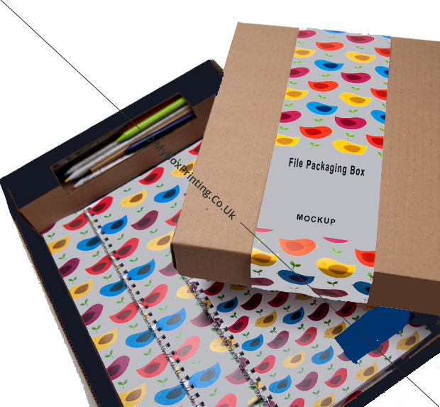 File Storage Boxes