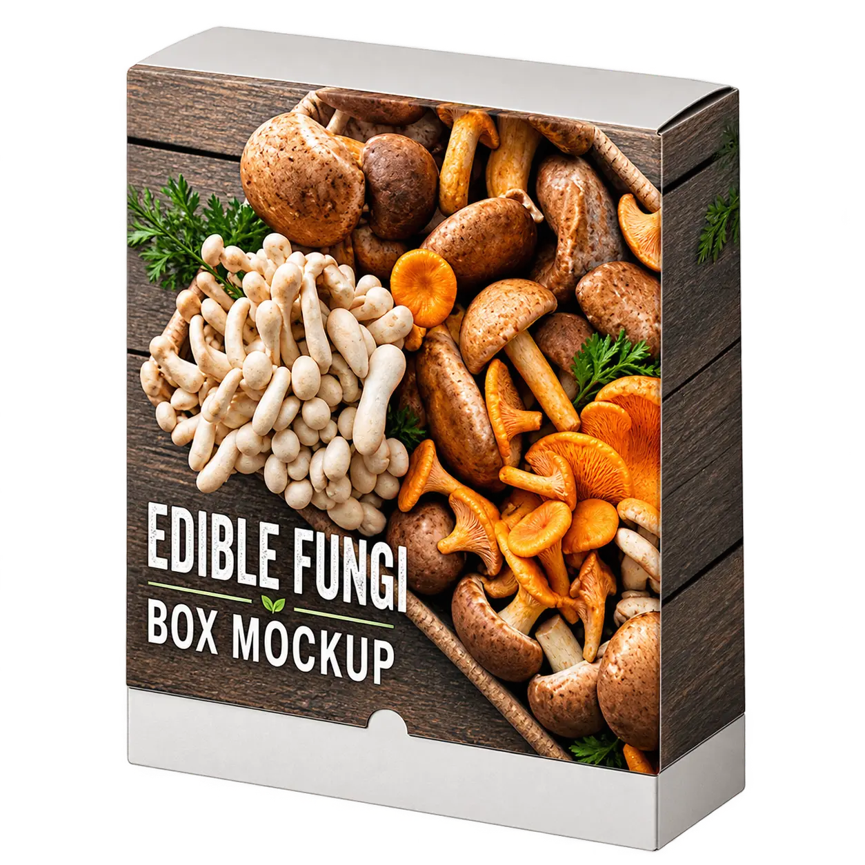 fungi-box fungi-box