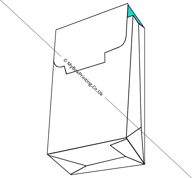 branded Paper Bags
