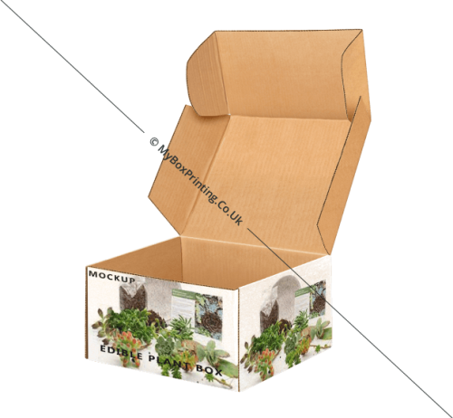 Edible Plants Boxes