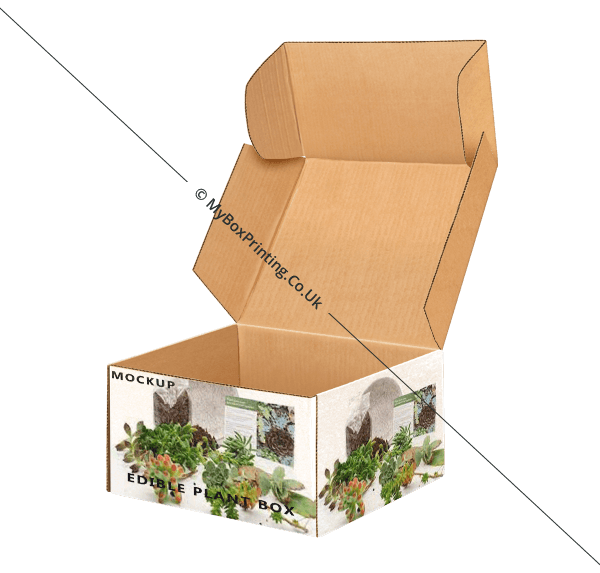 Edible Plants Boxes