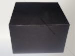 Non Branded Sandwich Boxes