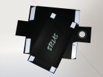 Cardboard Shoe Boxes for Stelas - Image 2
