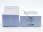 Cupcake Boxes with PET Display Window